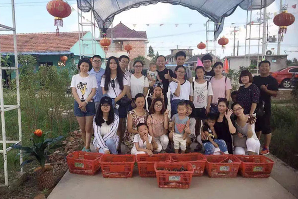 苏易网络图片