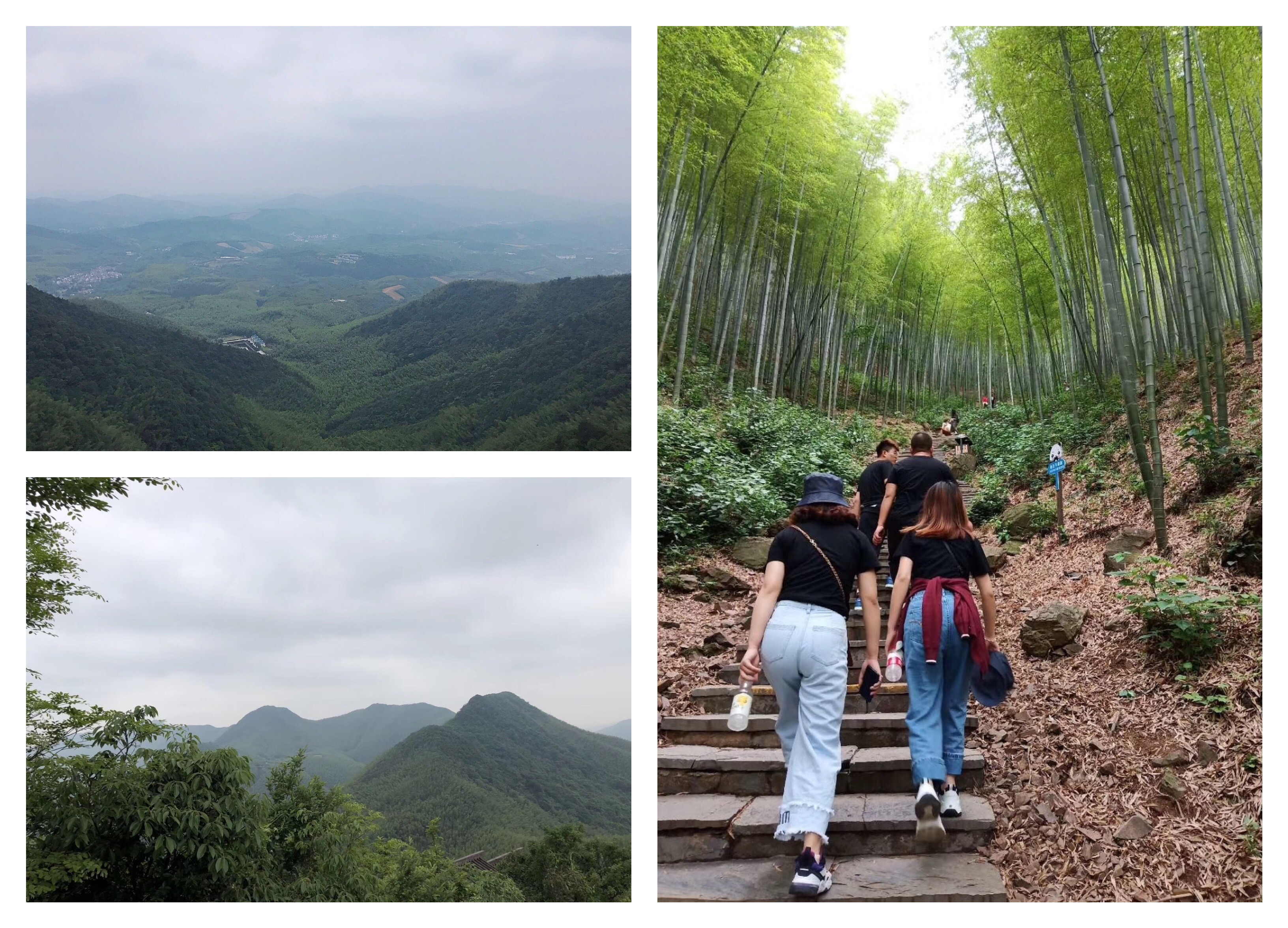 苏易网络图片
