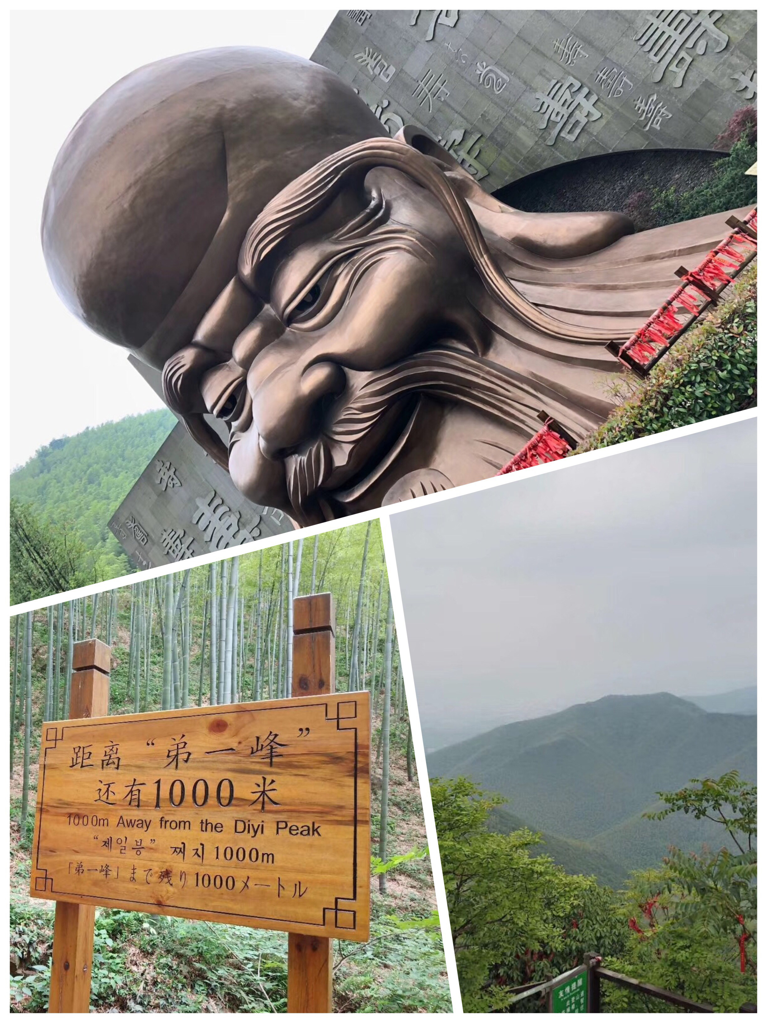 苏易网络图片